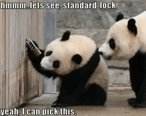 Panda lock picking image
